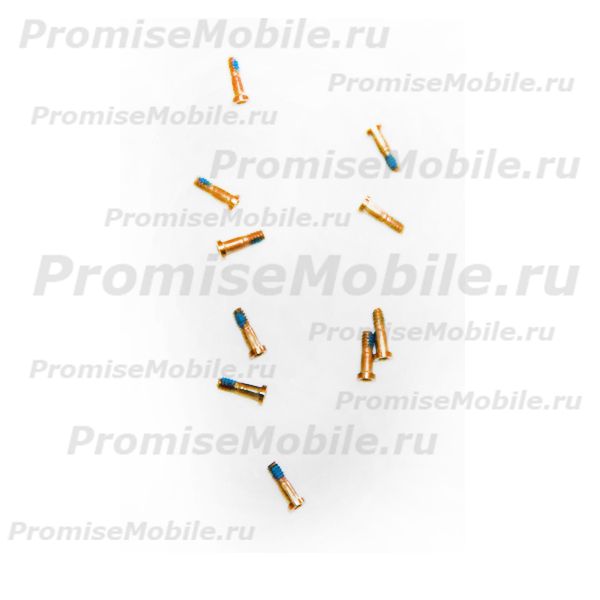 Винты для Apple iPhone 6 внешние (10 шт.) <золото> ― 